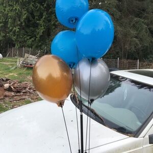 Blue, Silver, and Gold Party Balloons